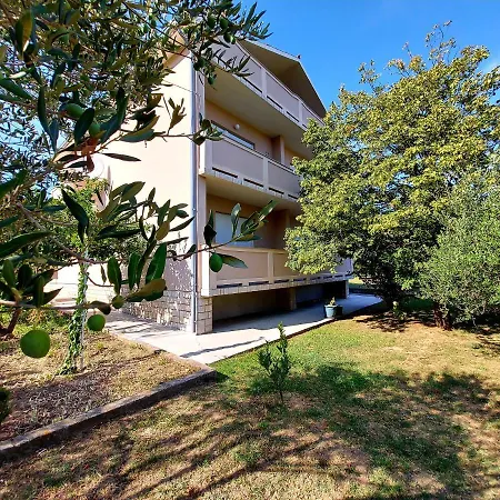 Anka Apartman Palit